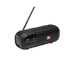 JBL Tuner 2 FM -kannettava...