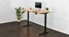 UPLIFT Standing Desk (V2 &...