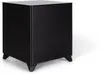 MartinLogan Dynamo Foundation...
