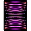 iPad Pro (2022) 12.9 256GB...