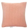 Blink Coral Outdoor Pillow...