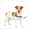 PetSafe Easy Walk Dog...