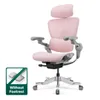 Hinomi H2 Pro Ergonomic...