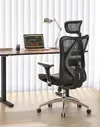SIHOO Ergonomic Mesh Office...