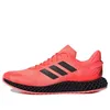 adidas 4D Run 1.0 'Signal...
