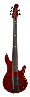 Michael Kelly Pinnacle 5 Bass...