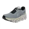 On Women's Cloudmonster 2...