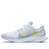 (WMNS) Nike Zoom Pegasus...