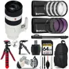 Sony FE 70-200mm f/2.8 GM OSS...