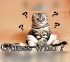 Guess who ? PC Steam CD Key