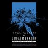 Final Fantasy XIV: A Realm...