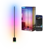Govee Floor Lamp 2
