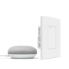 Google Nest Mini + Wyze...