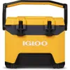 Igloo BMX Hard Coolers...