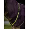 Woof Wear LED Sash - Yellow