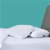 Casper Sleep Hybrid Pillow