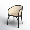 Fabiana Arm Chair