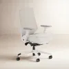 Ergonomic Office Chair