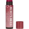 Burt's Bees Tinted Lip Balm,...