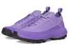 Arc'teryx Vertex Alpine GTX...