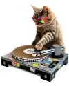 Suck UK | Cat Scratcher DJ...