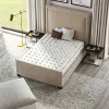 Twin Plush Soft Mattress...