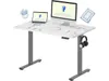 FLEXISPOT EN1 One-Piece...