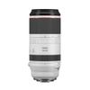 Canon RF 100-500mm f/4.5-7.1...