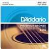 DAddario EJ38 12-String...