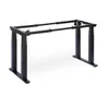 Tempo Automatic Standing Desk...