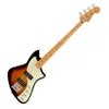 Fender Player Plus Meteora...