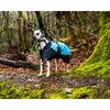 Henry Wag Waterproof Dog Coat...