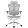 SIHOO Doro C300 Pro Ergonomic...