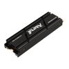 Kingston FURY Renegade PCIe...