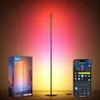 Govee RGBIC Floor Lamp, LED...