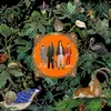 Amazing Things (orange in...