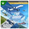 Microsoft Flight Simulator...