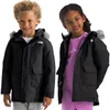 The North Face Arctic Parka -...