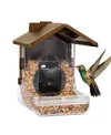 Wasserstein Bird Feeder...