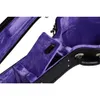 Epiphone Inspired by Gibson...