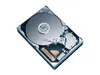 Seagate BarraCuda 7200.11...
