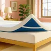 ViscoSoft Memory Foam...