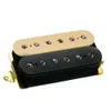 Super Distortion DP100