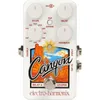 Electro Harmonix Canyon Delay...