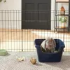 Frisco High Sided Small Pet...