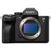 Sony A7S III body