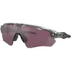 Oakley Radar EV Path Prizm...