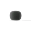 Google Home Speaker Hazel