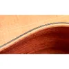 Taylor GS Mini Sapele...