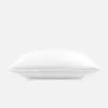 Brooklinen Down Pillow size...